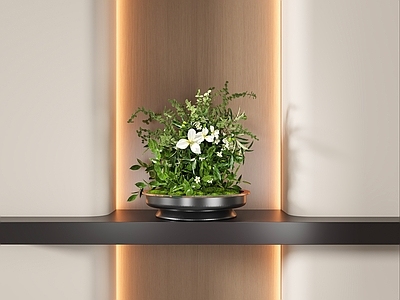 现代花艺盆景