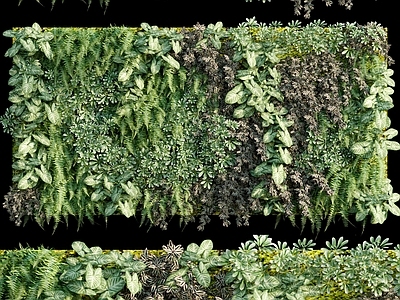 绿植墙 植物墙