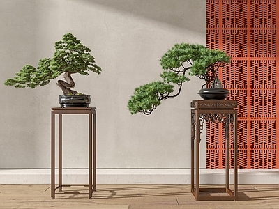中式松树盆景