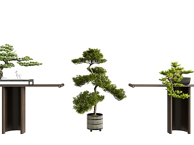 新中式绿植盆景