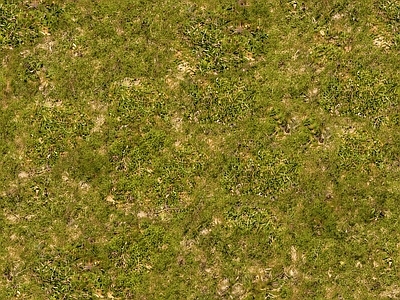 超高清自然土壤自然草皮绿地草坪野草地面 草皮