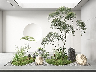 现代室内景观造景 植物堆 小品 树 蕨类植物