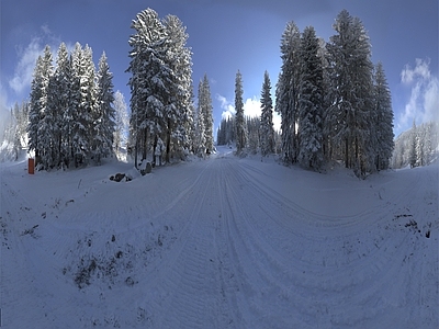 冬季树林雪景