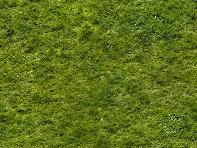 高清外景绿化公园草坪野草地茂密草坪草皮 草皮