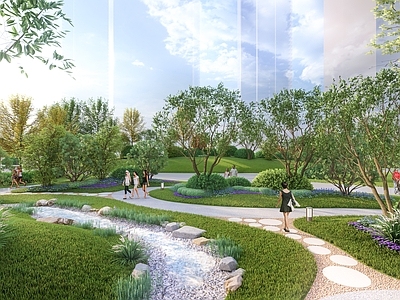 现代雨水花园 景观公园 植物园