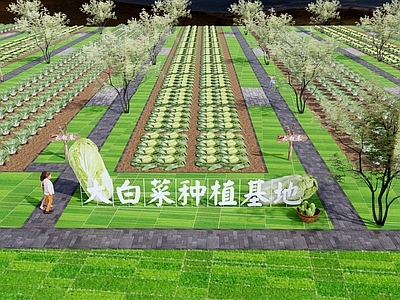 现代乡村农业种植公园 大白菜生态农场 菜园菜地 蔬菜瓜果园 白菜雕塑
