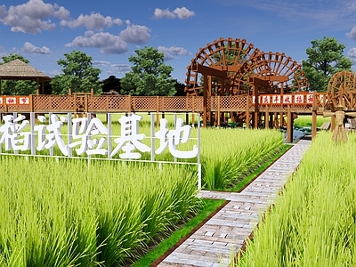 现代乡村农业公园景观 水稻实验基地 稻田农田荷塘 田间木栈道 水车灌溉