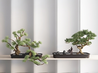 现代盆景