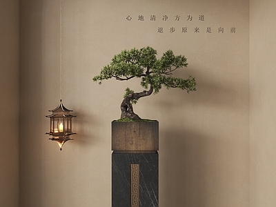 新中式盆景 禅意盆景 植物