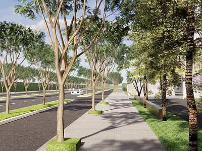 现代市政道路景观 城市公路 斑马线 绿化植物行道树