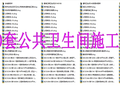 300套公共卫生间厕所建筑 施工图