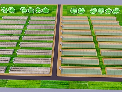 现代蔬菜大棚 大棚基地 农业基地 育苗基地