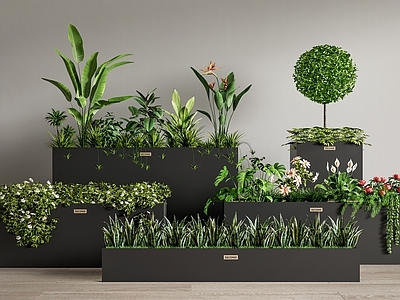 现代户外绿植花箱 移动花箱 植物花箱 植物组合 植物造景