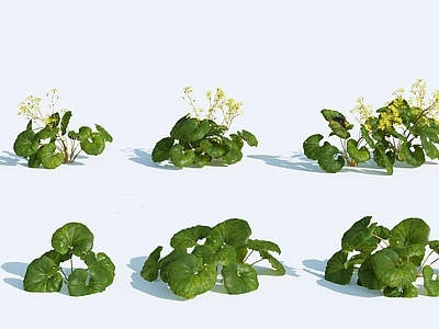 草