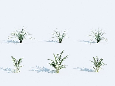 植物 绿植 草