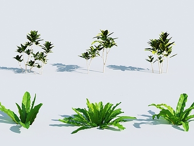 草