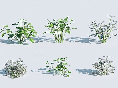 草