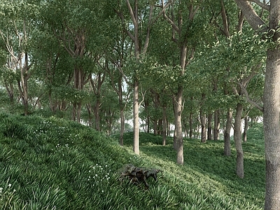 现代景观绿地 草地