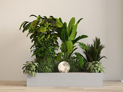 植物堆