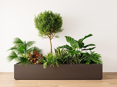 植物堆