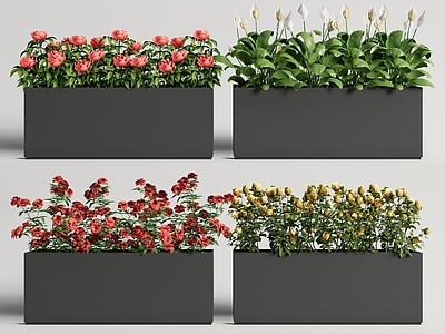 现代植物花箱 户外移动花箱 花钵 玫瑰花