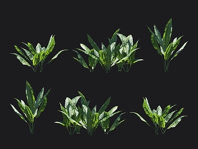 环花草