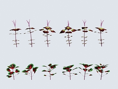 花草