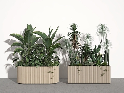 植物堆