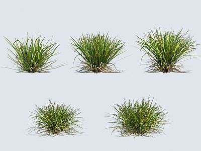 草