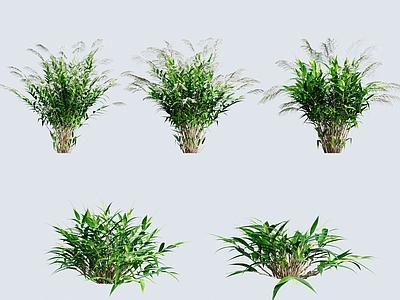 草