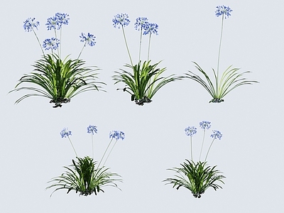 花草组合