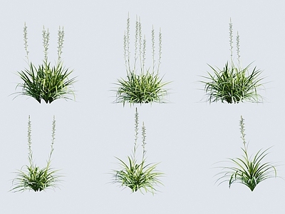 草