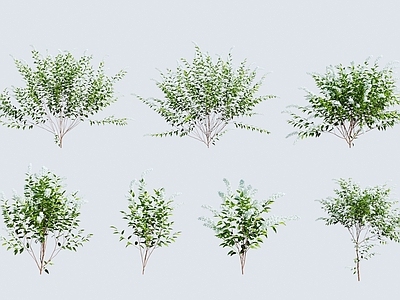 草