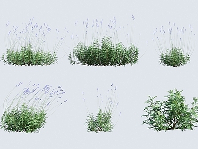 花草组合
