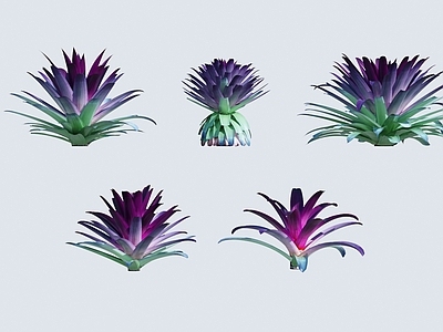 花草组合