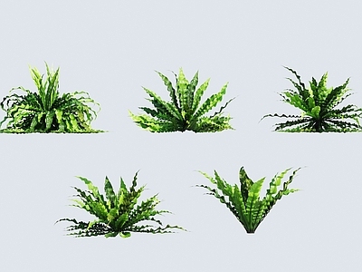 草