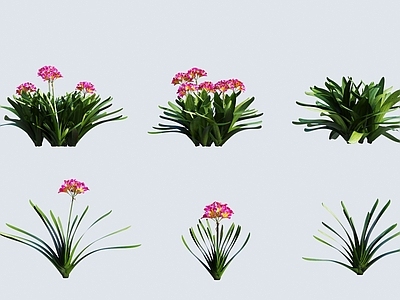 花草组合
