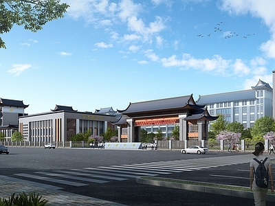 中式中小学入口大门 食堂宿舍楼教学楼 行政中和楼外观 学校 学校入口