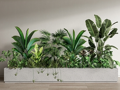 现代绿植花箱 室内植物造景 植物组合 植物堆 花池