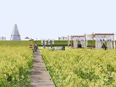 现代油菜花菜地 花海 农业庄园 农田 露营公园 露营设备