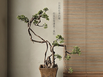 新中式松树盆景 竹帘