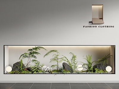 现代庭院小品 室内景观造景 微景观 蕨类植物 微地形 石头