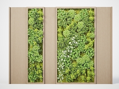 植物墙 绿植墙 苔藓墙