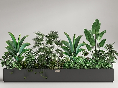 现代绿植花箱 室内植物造景 植物组合 植物堆 花池花坛