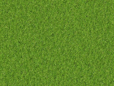 草皮草坪