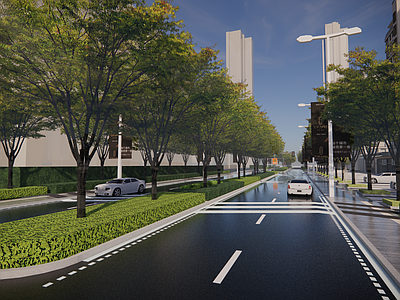 现代市政道路景观 道路斑马线 道路标识 十字路口 市政人行道