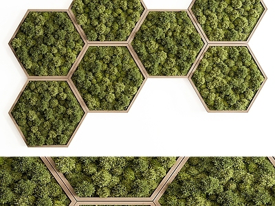 绿植墙 植物墙饰 摆件 吊兰