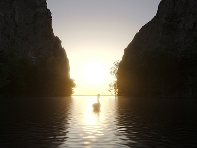 现代夕阳湖边 天鹅 山水