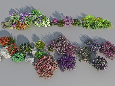 花 植物 灌木 树木 花黄 绿化 花 室外植物 花丛
