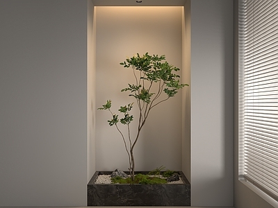 现代室内景观造景